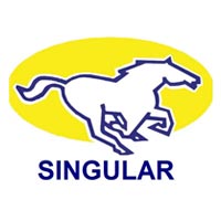 singular